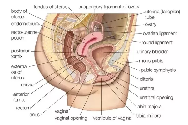 Anal rupture after sex